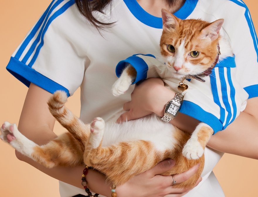 1778749358-adidas-originals-pet-collection-6-001.jpg