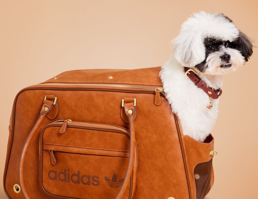 1778749372-adidas-originals-pet-collection-9-001.jpg