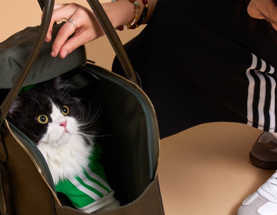 1778749390-adidas-originals-pet-collection-13-001.jpg