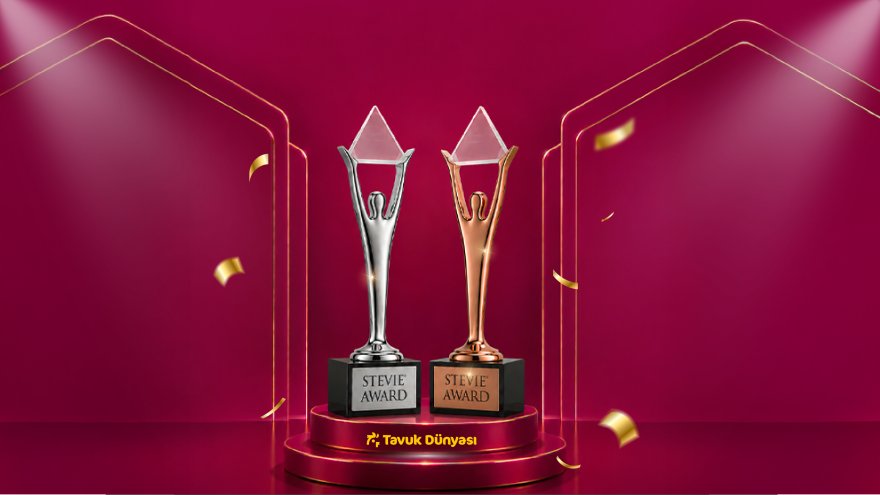 1784796022-tavuk-d-nyas-stevie-awards-d-l-g-rsel2.jpg
