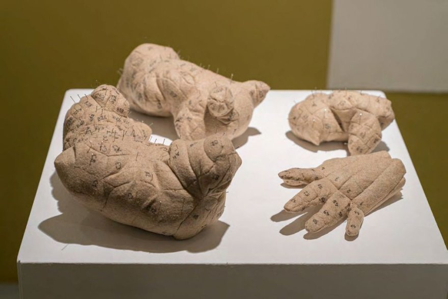 1784833279-zeynep-k-l-nc.jpg